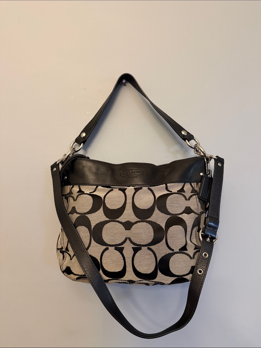 Coach Zoe Signature Medium Hobo Bag